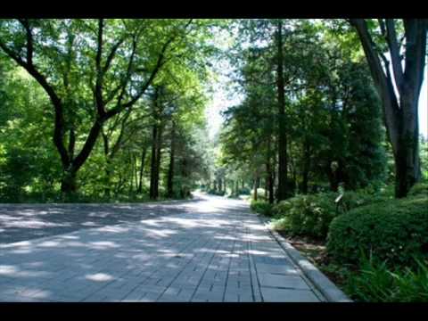 バス・ストップ/平浩二/coverまさ