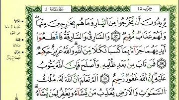الصفحة 114 :سورة المائدة من الآية 37 إلى 41
