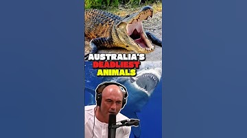 Joe Rogan on Australia’s Terrifying Animals