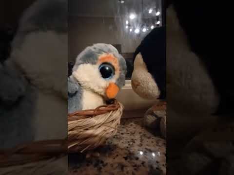 Video Creato Con PixVerse Cute Sparrow Bird Cat Peluche