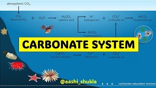 The Carbonate System | Buffering System | Unit 2 | Environmental Chemistry | NTA UGC NET