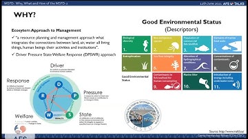 AFS Talk 24: Dealing with marine environmental sustainability: the MSFD in Europe