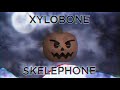 Beginning of video