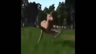 Sumaru City After The World Being Destroyed Be Like