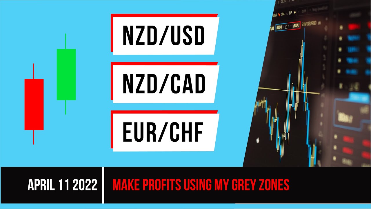 NZDUSD, NZDCAD, EURCHF | Make profits using my grey zones | Daily Forex Analysis