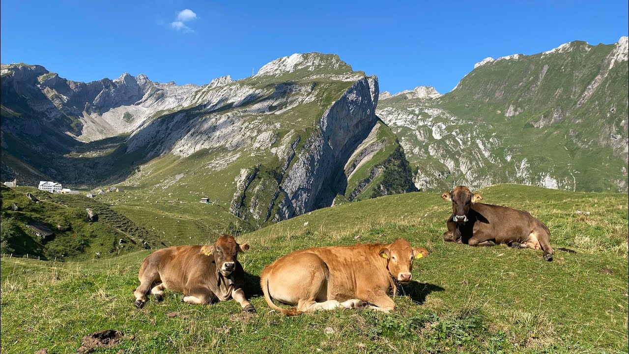 Einmol meh Säntis 🇨🇭❤️🥰
