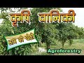 Agroforestry in India  | कृषि वानिकी : लाभ की खेती है  | Climate Smart Agriculture