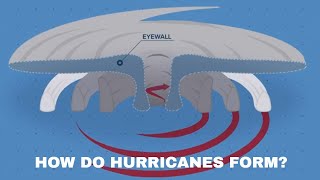 How do hurricanes form?