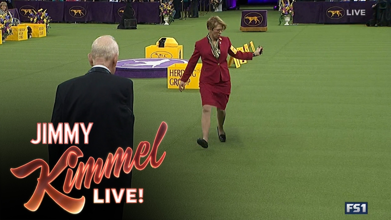 The Westminster Dog Show Without Dogs 