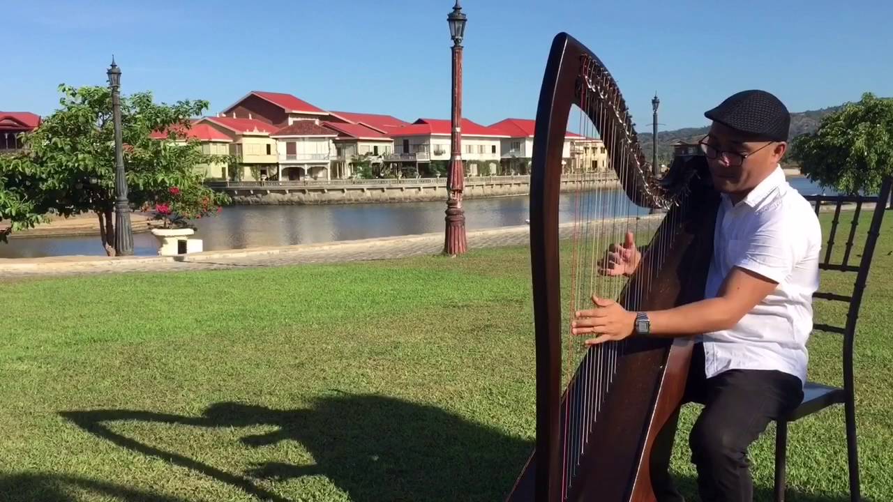 Make You Feel My Love by Bob Dylan - Ryan Villamor solo Harp cover