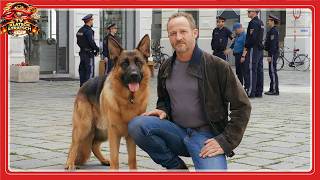 Kommissar Rex kehrt nach 20 Jahren zurück