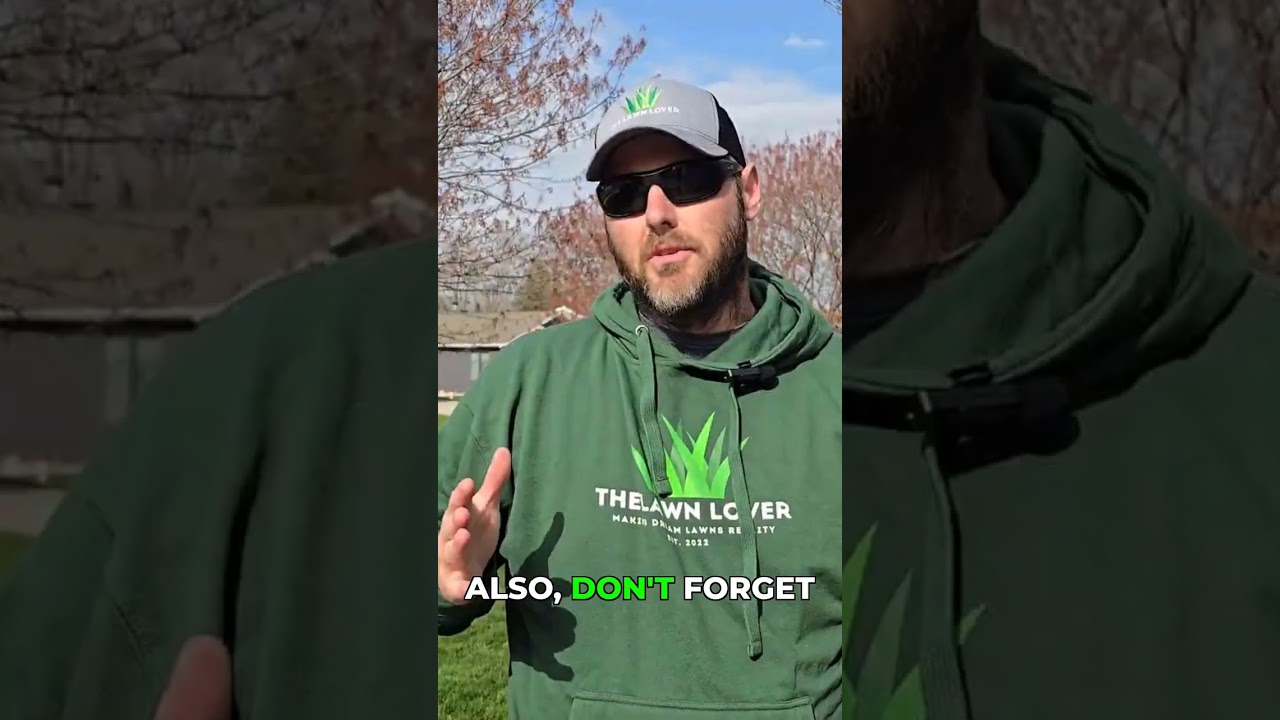 The Exact Way to Measure and Spread Grub Control #lawncare #tutorial