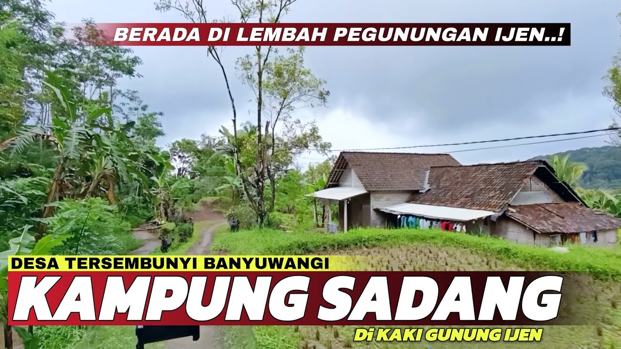 Desa Terpencil Banyuwangi! Menyusuri Indahnya Jalur Menuju Kampung Sadang di Lembah Gunung Ijen!