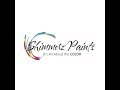 Shimmerz Paints | The Announcement | Miranda Webber