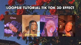 LOOPSIE TUTORIAL TIK TOK 3D EFFECT screenshot 2