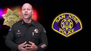 Armed Robbery, Vehicle Theft, Drug violations and rescuing man's best friend.