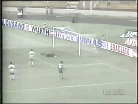 Palmeiras 8 x 0 Botafogo-SP  - Campeonato Paulista de 1996
