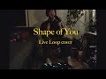 Shape of You Ed Sheeran | Live Loop Cover