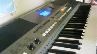 Yamaha PSR-E443 I Playing Along To The Demos And DJ Patterns