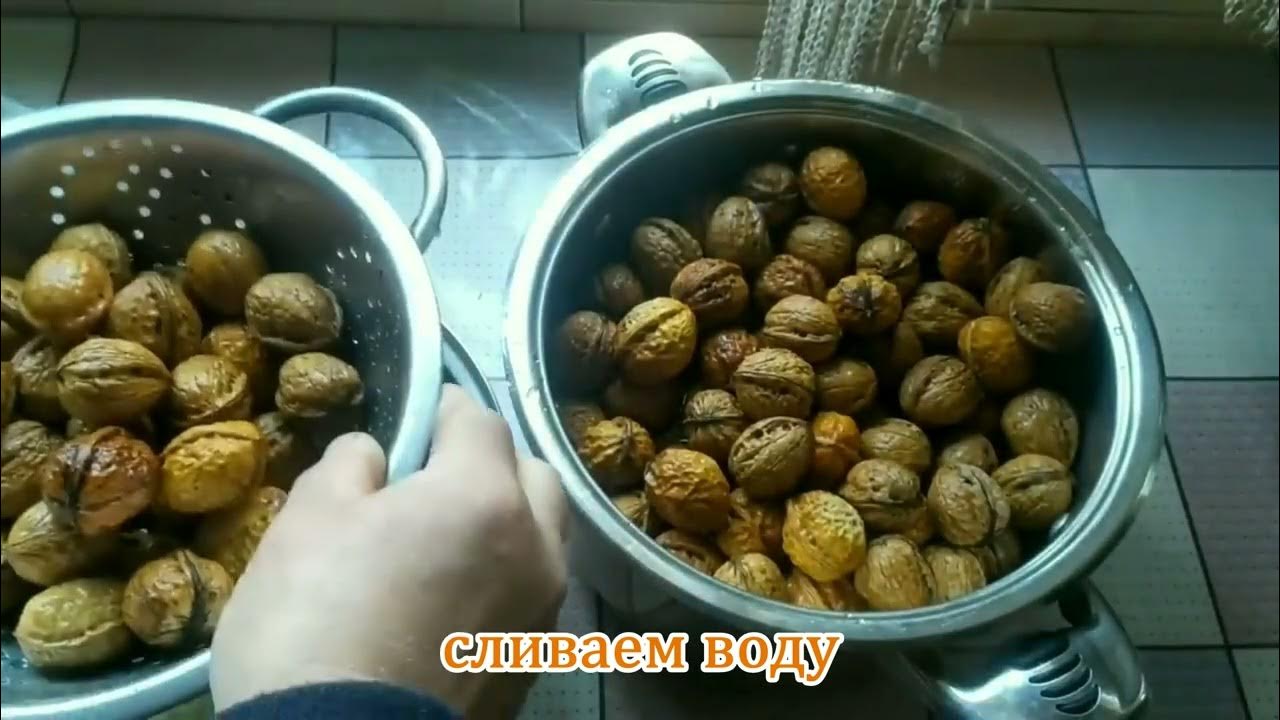 Грецкие орехи очищенные нужно мыть. Как правильно чистить орехи. Как помыть орехи купленные на рынке и высушить.