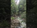 Kreuth Klamm. Wunderschöne Klamm, Bayern #klamm #canyon #water #shortvideo #shorts #gravelbike