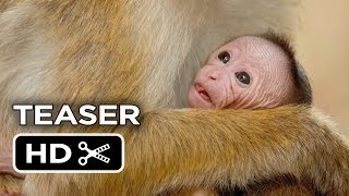 Monkey Kingdom  Teaser #1 (2015) - Disneynature Documentary HD