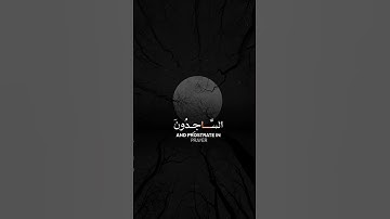 التابون الحامدون#قرآن #القرآن_الكريم #قران_كريم #اكسبلور #fyp @أجملتلاواتالقرآنالكريم-ض8ظ