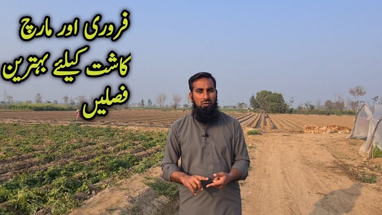 What to plant in February and March |Summer vegetable best time to grow |Profitable farming |IR FARM