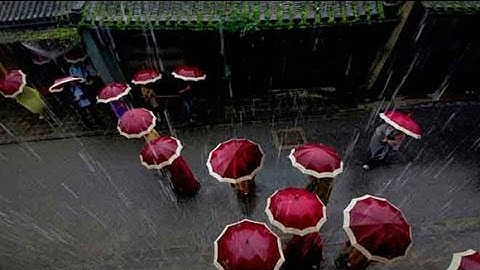 TA CÔ ĐƠN LÀM CƠN MƯA ĐI LẠC - thơ LƯƠNG ĐÌNH KHOA