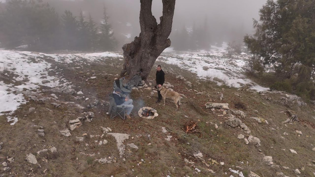 CAMUKA İLE ORMANDAYIZ...SİS FENA BASTIRDI.