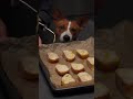 Cooking Videos 11 (onion soup)