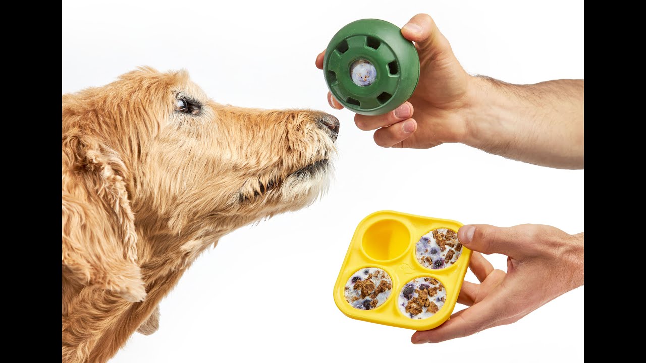 Introducing the Woof Pupsicle enrichment toy! #pupsicle #dogchew #enr