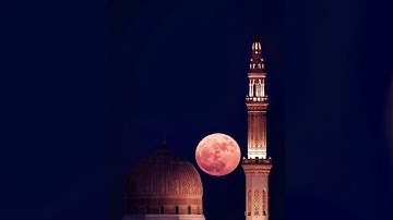 سورة محمد.... بصوت الشيخ العشري عمران برواية حفص عن عاصم