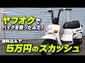 【送料込みで5万円】ヤフオクで買ったスカッシュの状態をチェック！/ Motorcycle Fantasy