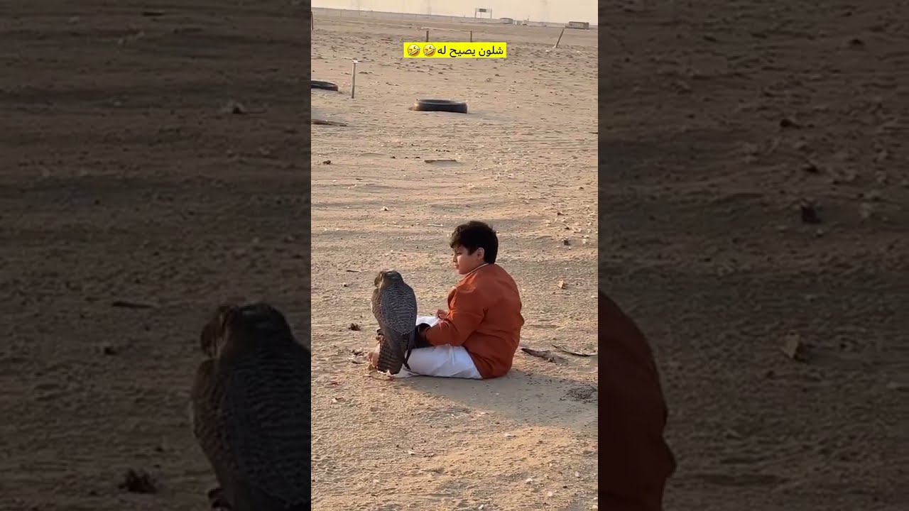 سنابات ناصر السهيلي l ذبحني حمد يا هاشم الصليلي😂😂