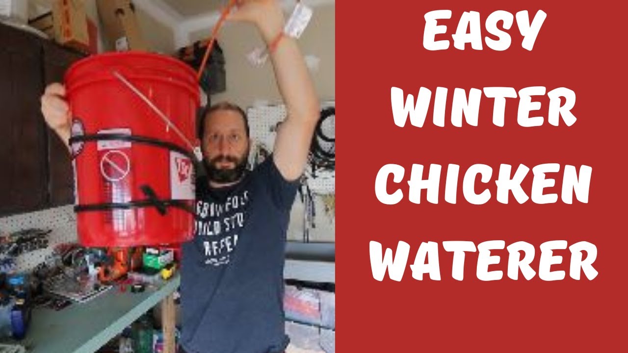 How to build a freezeproof winter chicken waterer! DIY YouTube