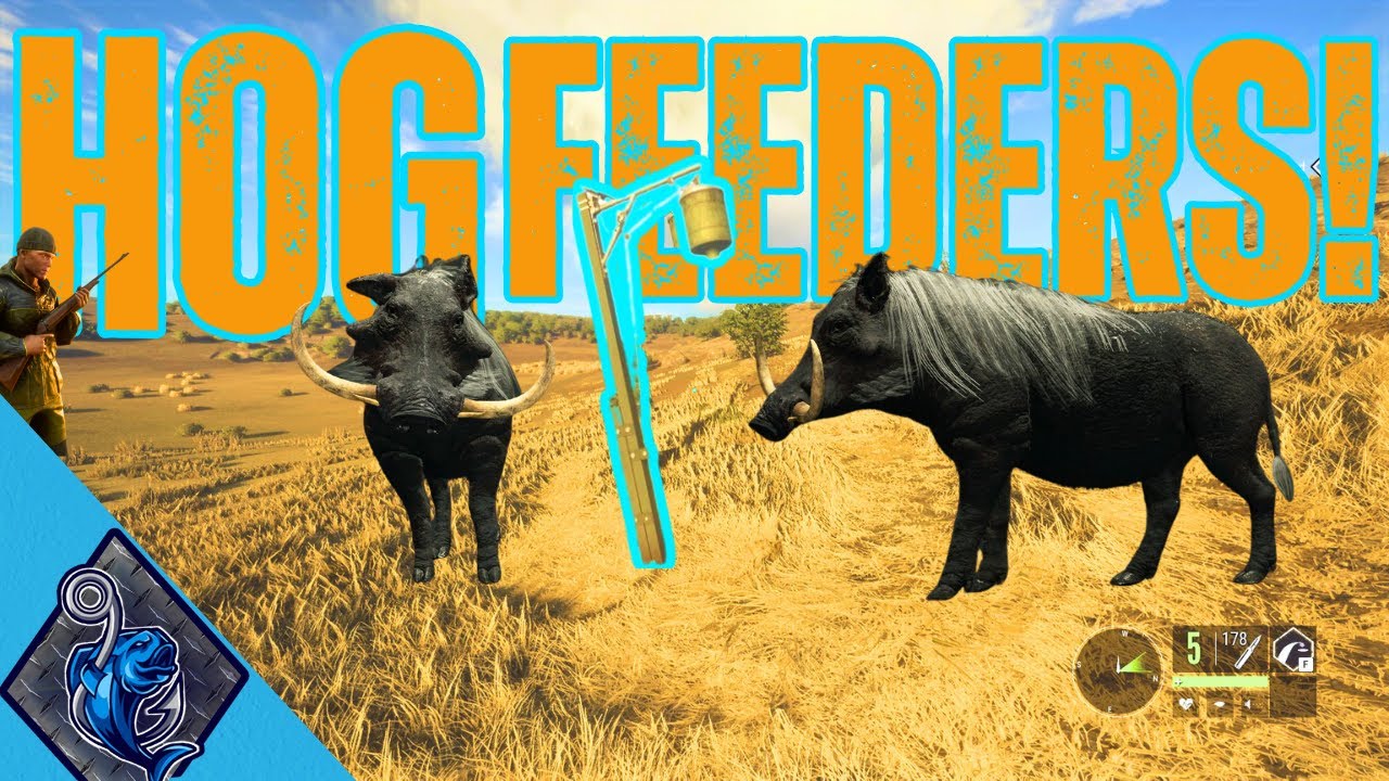 ОХОТА НА БОРОДАВОК ИЗ КОРМОВКИ!!! В Call Of The Wild