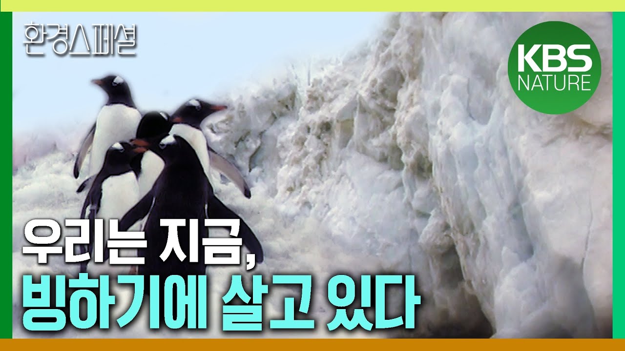 우리는 지금, 5번째 빙하기에 살고 있다 [사이언스21 - 지구대멸종 3부 : 제 5 빙하기의 경고] / KBS 20040129 방송