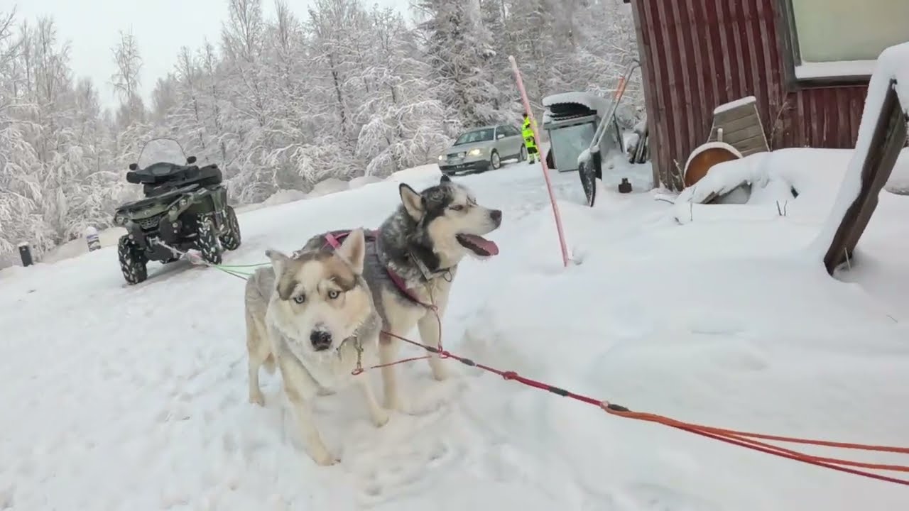 Uudenvuodenaaton valjakkotreeni