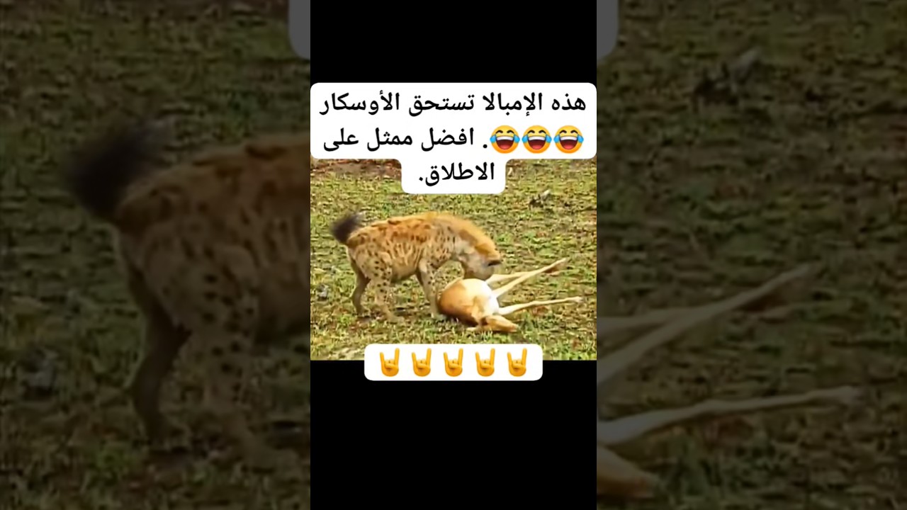 تابعني لترى الافضل ان شاء الله #متابعة✅_لايك🤍_تعليق📝_اكسبلور🔥