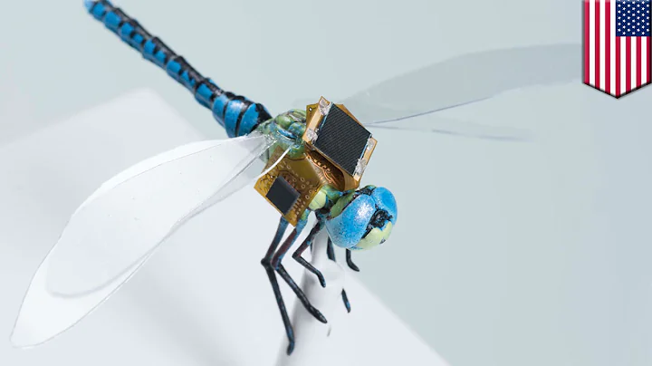 Scientists create cyborg dragonflies that can spy on people and aid pollination - TomoNews
