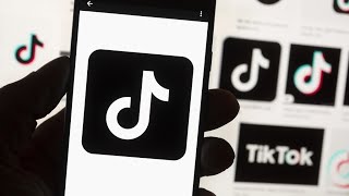 Virginia prosecutor argues to uphold TikTok ban, Trump requests a pause