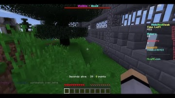 FIRST VIDEO! | Minecraft | The hive | Hide and Seek! (No voice)