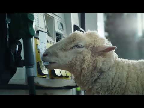 Toyota Commercial | The All-New Prius | Black Sheep | Toyota USA | Best Commercials