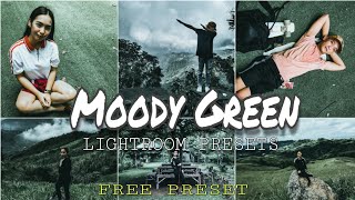 Lightroom Tutorial | How to Edit Mood Green Preset | Free Lightroom Presets screenshot 5