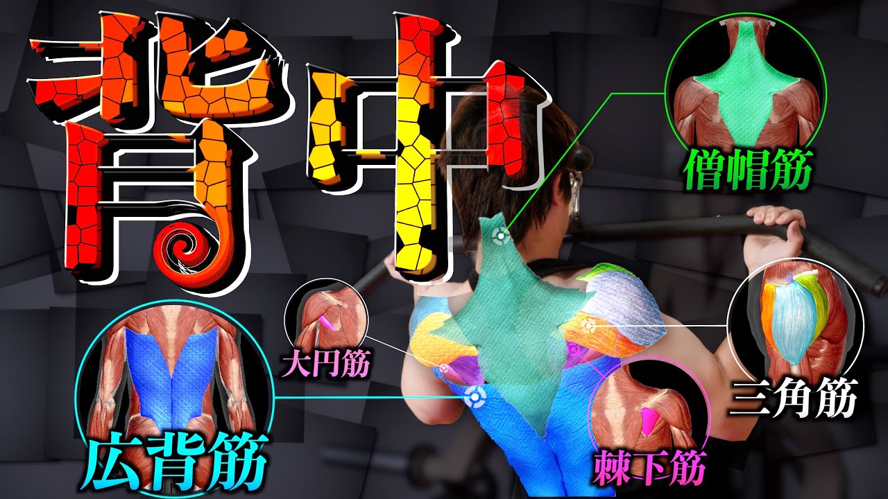 【筋トレ】10分後にあなたの背中タイプは判別され、最強の3種目が届けられています。