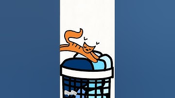 Der Washing Machine #animation #comedy #cat  #funny #memes