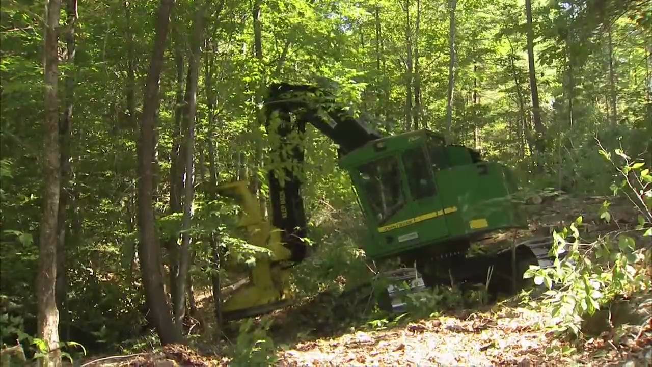 Maine Hardwood Harvests America's Heartland YouTube