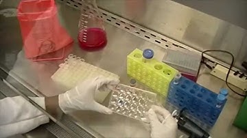 PGmatrix for 3D Cell Culture (Cell encapsulation protocol)