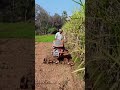 किसान भाईयों की पसंद Power Weeder 🚜❤️#modernfarming #agriculture #shorts @powerweeder